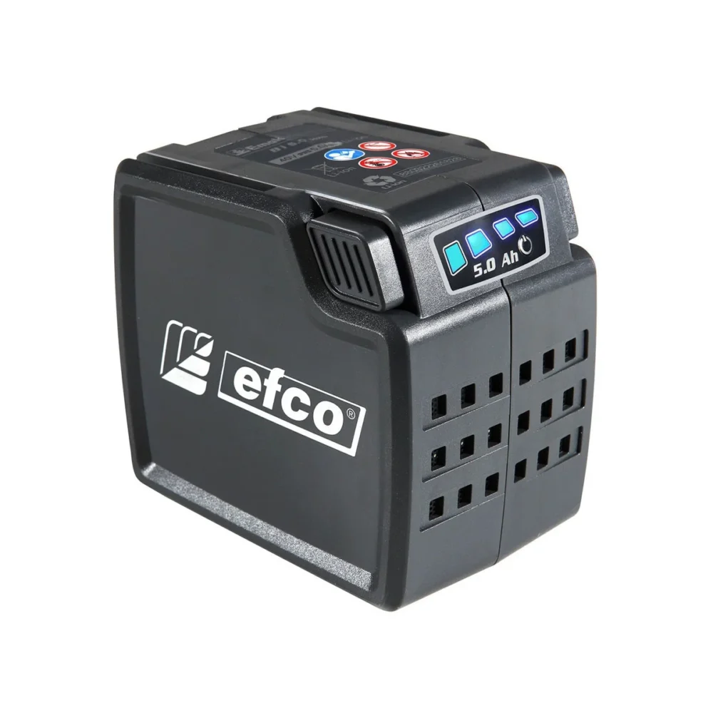 Rasaerba LRI 44T Bi 5,0 EF Efco - immagine 2